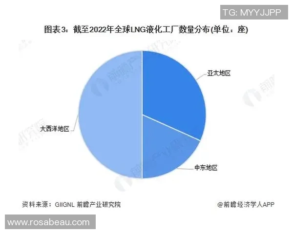 专业分析LNG市场包夹策略的深度解读与未来展望